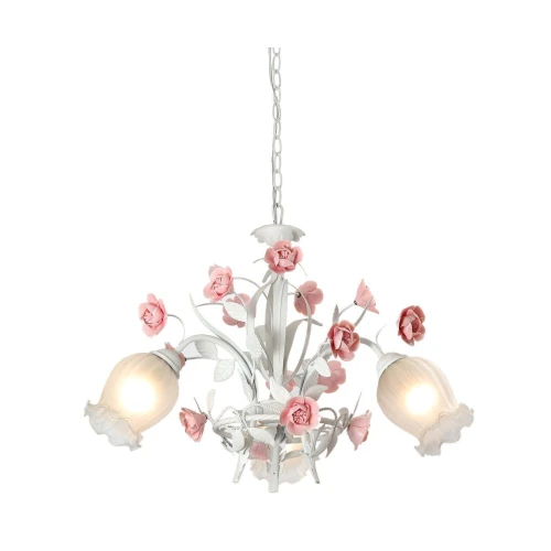 Lucia Tucci Fiori di rose 106.3 Lucia Tucci Fiori di rose 106.3